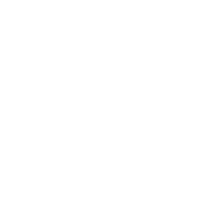 CZC.CZ